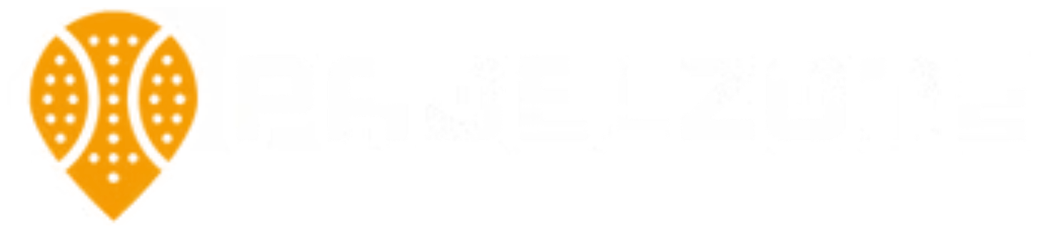 Padelzone logo
