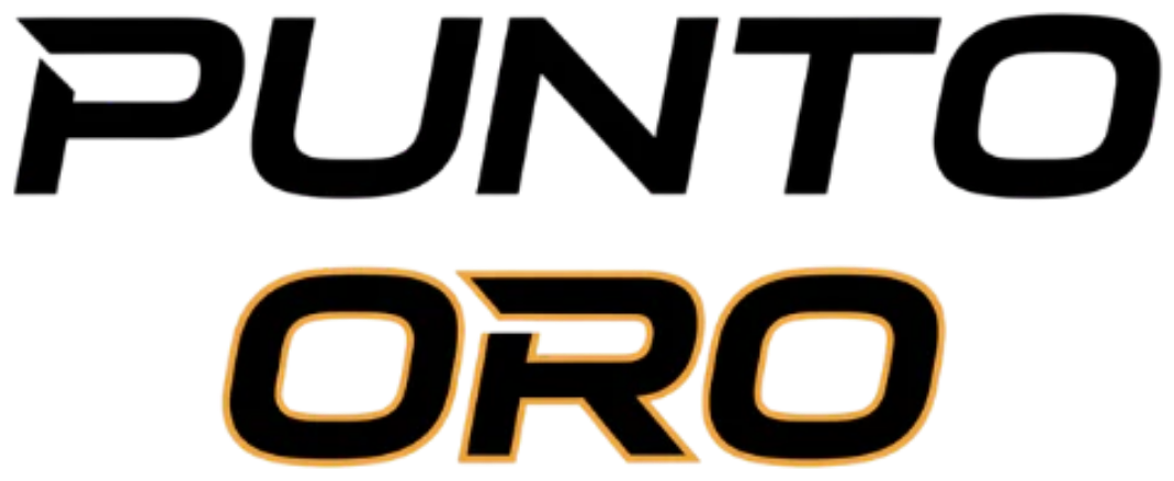 Punto Oro logo